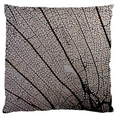 Sea Fan Coral Intricate Patterns Large Cushion Case (one Side) by BangZart