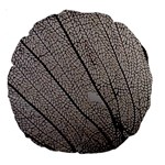 Sea Fan Coral Intricate Patterns Large 18  Premium Round Cushions Front