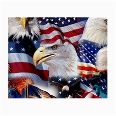 United States Of America Images Independence Day Small Glasses Cloth by BangZart