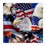 United States Of America Images Independence Day Medium Glasses Cloth (2-Side) Back