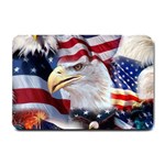 United States Of America Images Independence Day Small Doormat  24 x16  Door Mat