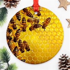 Honey Honeycomb Ornament (round) by BangZart