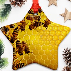 Honey Honeycomb Ornament (star) by BangZart