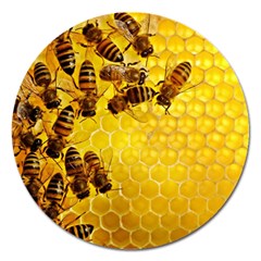 Honey Honeycomb Magnet 5  (round) by BangZart