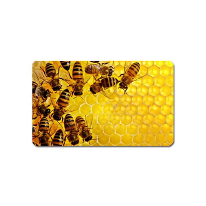 Honey Honeycomb Magnet (Name Card)