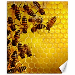 Honey Honeycomb Canvas 8  X 10  by BangZart