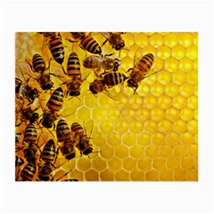 Honey Honeycomb Small Glasses Cloth (2-side) by BangZart