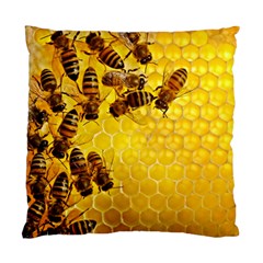 Honey Honeycomb Standard Cushion Case (one Side) by BangZart