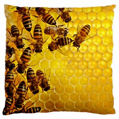 Honey Honeycomb Large Cushion Case (one Side) by BangZart