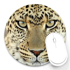 Leopard Face Round Mousepads by BangZart