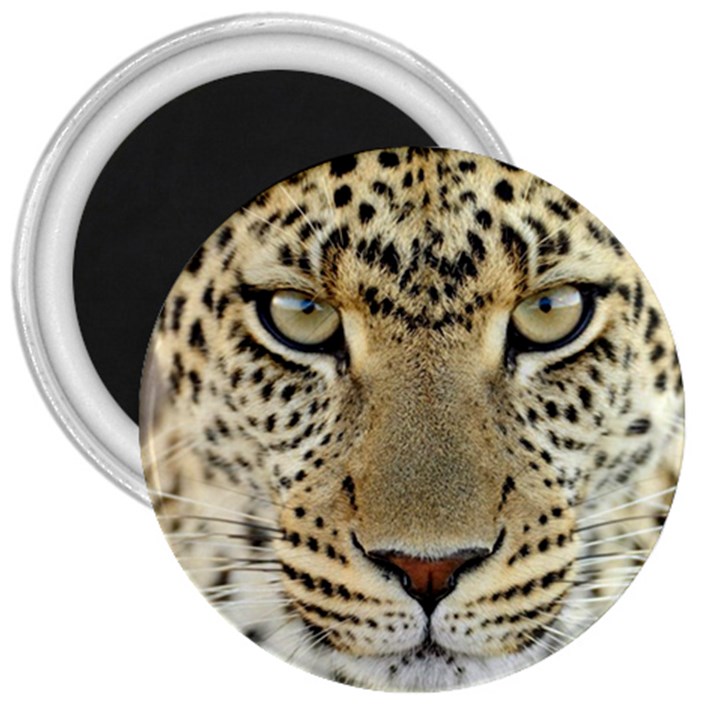 Leopard Face 3  Magnets