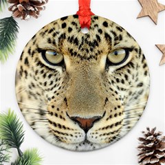 Leopard Face Ornament (round) by BangZart