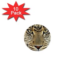 Leopard Face 1  Mini Buttons (10 Pack)  by BangZart