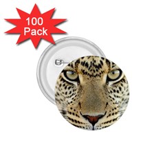 Leopard Face 1 75  Buttons (100 Pack) 