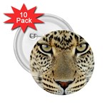 Leopard Face 2.25  Buttons (10 pack)  Front