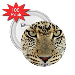 Leopard Face 2 25  Buttons (100 Pack) 