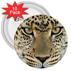 Leopard Face 3  Buttons (10 Pack)  by BangZart