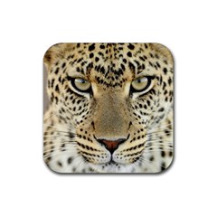 Leopard Face Rubber Coaster (square)  by BangZart