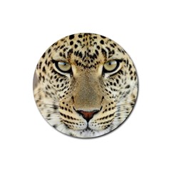 Leopard Face Rubber Round Coaster (4 Pack) 