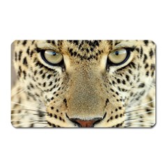 Leopard Face Magnet (rectangular)