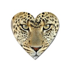 Leopard Face Heart Magnet by BangZart