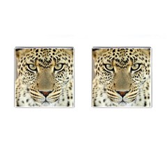 Leopard Face Cufflinks (square)