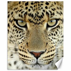 Leopard Face Canvas 16  X 20   by BangZart