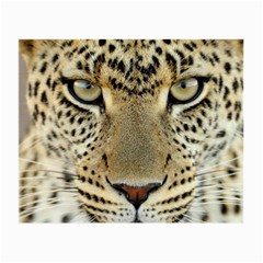 Leopard Face Small Glasses Cloth (2-side) by BangZart