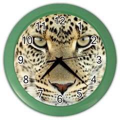 Leopard Face Color Wall Clocks