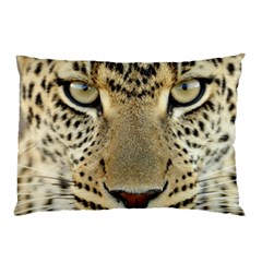 Leopard Face Pillow Case