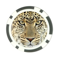 Leopard Face Poker Chip Card Guard (10 Pack) by BangZart