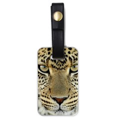 Leopard Face Luggage Tags (one Side)  by BangZart