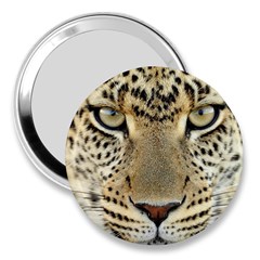 Leopard Face 3  Handbag Mirrors