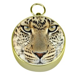 Leopard Face Gold Compasses