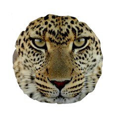 Leopard Face Standard 15  Premium Flano Round Cushions by BangZart