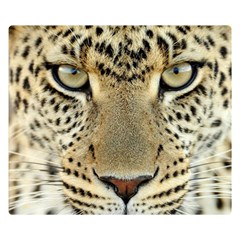 Leopard Face Double Sided Flano Blanket (small)  by BangZart