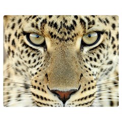 Leopard Face Double Sided Flano Blanket (medium)  by BangZart