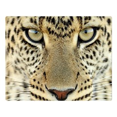 Leopard Face Double Sided Flano Blanket (large)  by BangZart