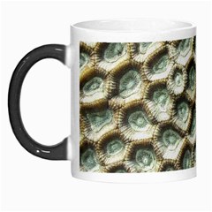 Ocean Pattern Morph Mugs