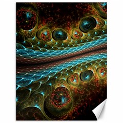 Fractal Snake Skin Canvas 12  X 16  