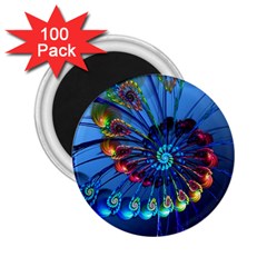 Top Peacock Feathers 2 25  Magnets (100 Pack) 