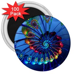 Top Peacock Feathers 3  Magnets (100 Pack)