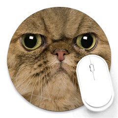 Cute Persian Catface In Closeup Round Mousepads by BangZart