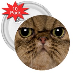 Cute Persian Catface In Closeup 3  Buttons (10 Pack)  by BangZart