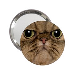 Cute Persian Catface In Closeup 2 25  Handbag Mirrors