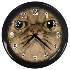 Cute Persian Catface In Closeup Wall Clocks (black) by BangZart