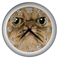 Cute Persian Catface In Closeup Wall Clocks (silver)  by BangZart