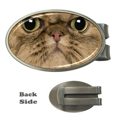 Cute Persian Catface In Closeup Money Clips (oval)  by BangZart