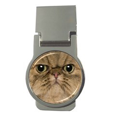 Cute Persian Catface In Closeup Money Clips (round)  by BangZart