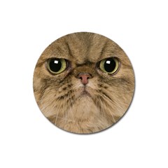 Cute Persian Catface In Closeup Magnet 3  (round) by BangZart